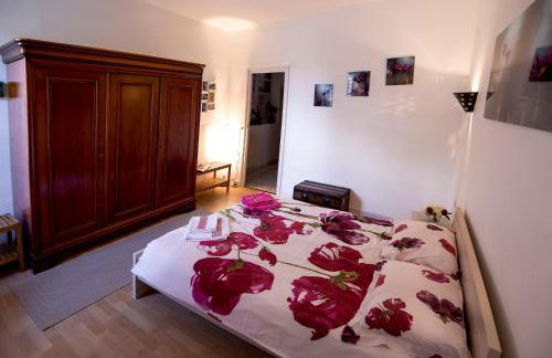 Maison Toulousaine avec jardin - Foto 3