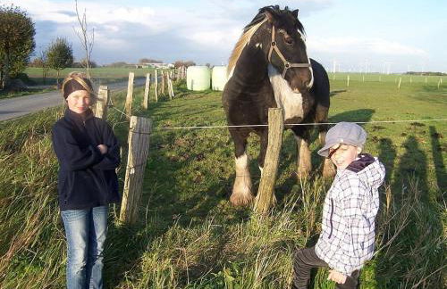 Thatched Roof House Kehl - Foto 32