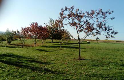 Gite de Marcureau - Foto 21