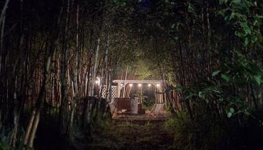 Brzozowa Polana - Foto 4