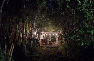 Brzozowa Polana - Foto 4