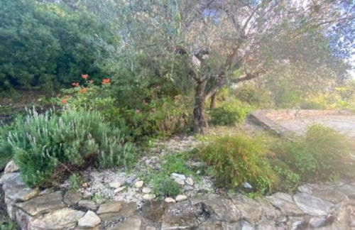 Haus mit Pool im Olivenhain - Foto 6