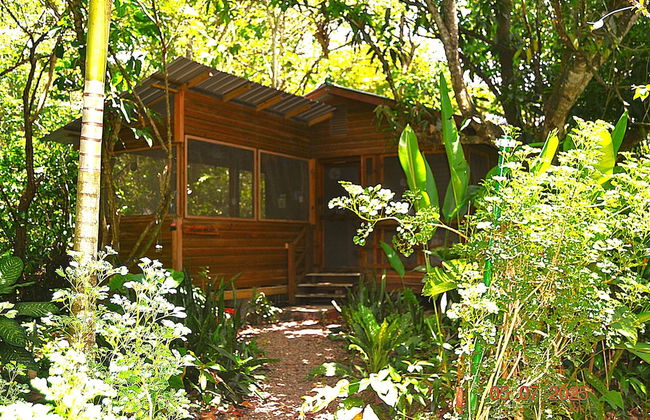 Licensed 2 Bedroom Cabin Close to San Ignacio, Local Dining, and Adventure Tours - Foto 16