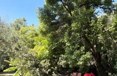 Michita Oleron proche Plage et forêt - Foto 12