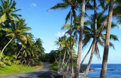 Hale Mapuana - Foto 13