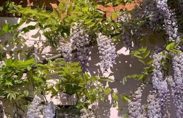 Mews House, Tewkesbury town centre, hot tub, pets - Foto 37