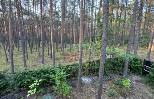 Domek rekreacyjny DORAN - Foto 13