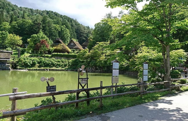 Green House - Foto 19