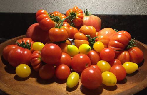 Privat Apartment- Near Strasbourg, Baden Baden - Foto 43