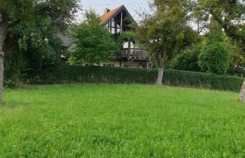 An den Auwiesen - Foto 7