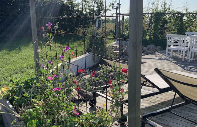 Bäddar & Ängar - Photo 78