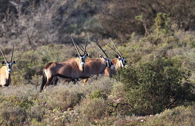 Berluda Farmhouse & Cottages - Photo 48