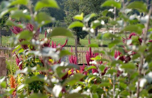 Ferienwohnung Mohnblume - Foto 17