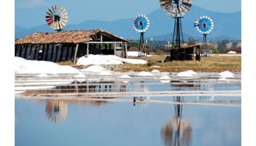 Lugar de descanso e muito verde praia e lagoa Araruama - Foto 2