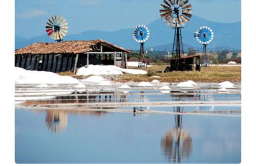 Lugar de descanso e muito verde praia e lagoa Araruama - Foto 2