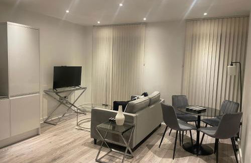 Superior Large Suite Luxury Living City Apartment, 2 Kingsize Bedrooms Business Suite - Free WiFi - Foto 23