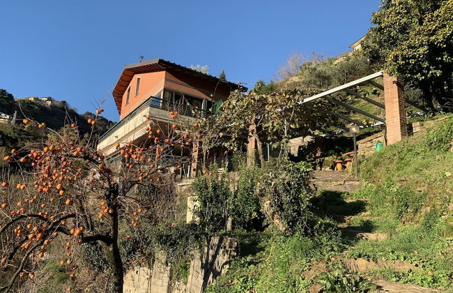 Villa Vigna - Foto 1