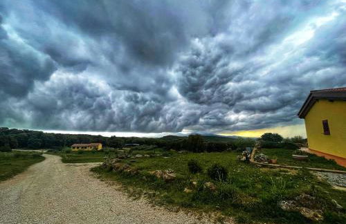Azienda agricola Panorama - Foto 24