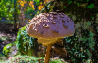 Villamaría, Alma de Despeñaperros - Foto 34