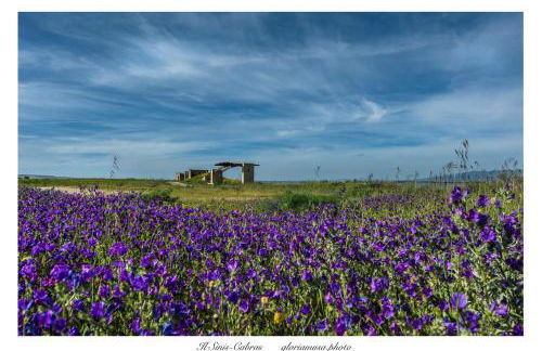 Il riposo dei Giganti - Photo 10
