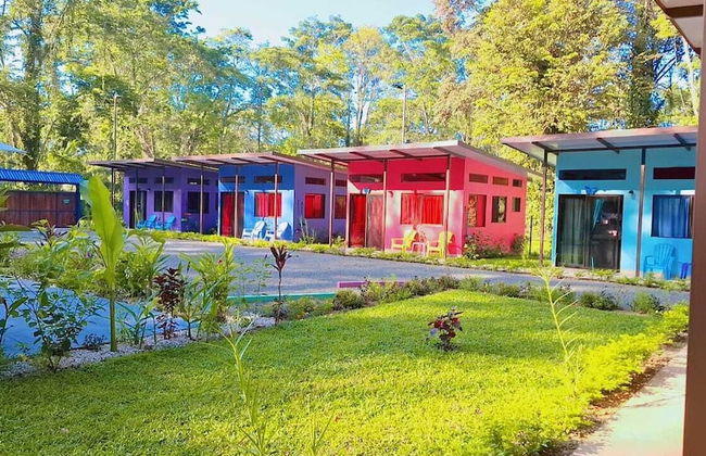 Caribbean Blue Morpho - Foto 27