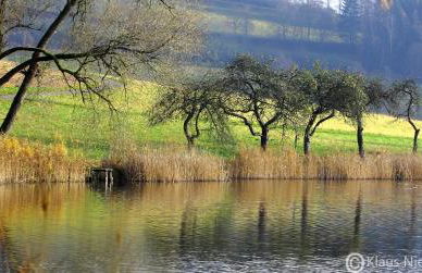 Ferienwohnung Welcome mit Seeblick - Foto 19