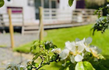 Purple CargoPod at Lee Wick Farm Cottages & Glamping - Foto 10