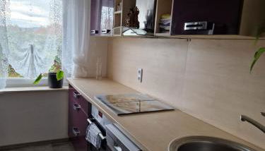 Ferienwohnung Krysanovsk - Foto 4