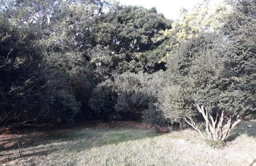 Chalé Veredas e Buritis - Foto 60