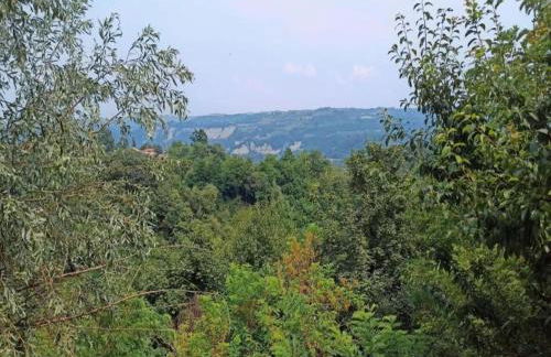 Apartment with large covered terrace, in small residence with swimming pool - Foto 15