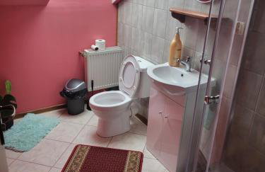 Agroturystyka Świerki - Foto 10