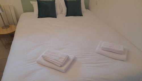 Studio Cosy 15 m2 au fond du jardin - Foto 4