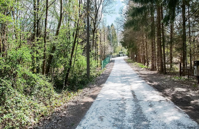 Holiday Home in Biron With Barrel Sauna - Photo 39