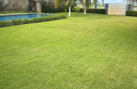 Maramar Casa - Foto 4