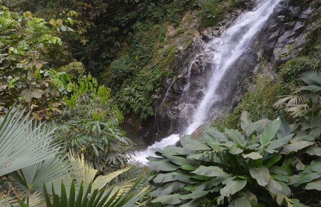 Sierra Minca + Marinka Waterfalls Tour - Photo 2