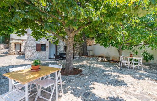 Selva Panorama - Foto 16