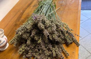 Valtellinda - Foto 45