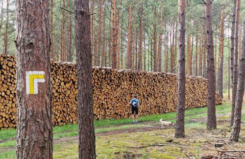 "Jabłonie i grusze" Nice home in a big garden with sauna and wifi - Foto 30