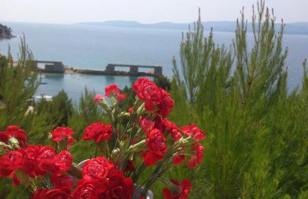 Apartmani SEA VIEW - Foto 30