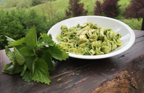 Agriturismo Gioie di Campagna - Foto 33