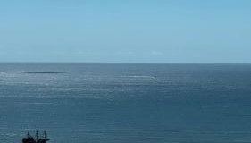 Apartamento em itapema com maravilhosa vista mar - Foto 4