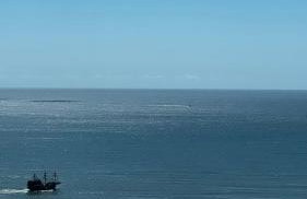 Apartamento em itapema com maravilhosa vista mar - Photo 4