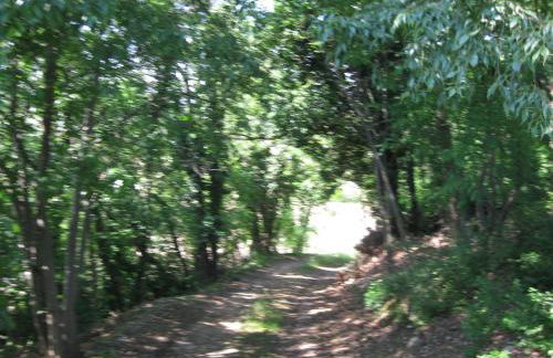 Agriturismo Campagnoletto - Foto 52