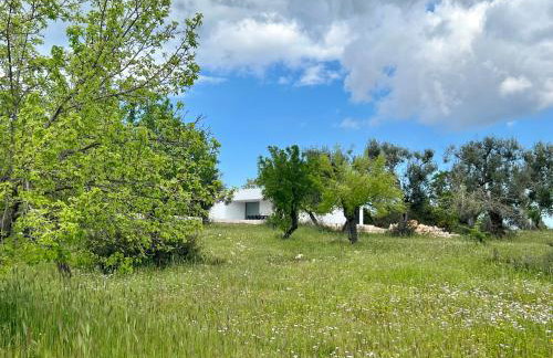 Casa Pavone - Foto 7