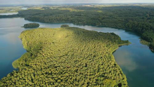 Dom Wakacyjny Kuszewo - Foto 2