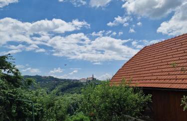 Kuća za odmor Vuketich hills - Foto 22