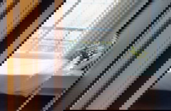 Oikos Leisure Pension - Foto 40