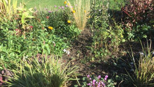 STACK YARD COTTAGE. - Photo 5, Garden