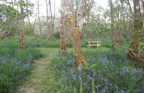The Singing Heart, TirNaNog Cozy Cottage near Lochgilphead !!HIDDEN GEM!! - Foto 47