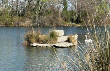 Maison provençale proche du lac - Foto 20